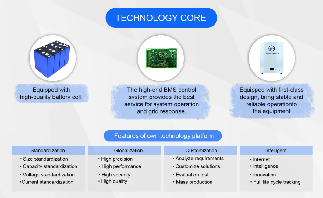 Bloopower12V 12.8V 24V 36V 48V 60V 72V 50ah 100ah 120ah 150ah 200ah 5.12kwh Electric BMS Chargers House Supply at Home on Grid Power